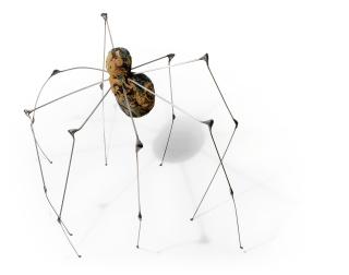 Louise Bourgeois - Spider