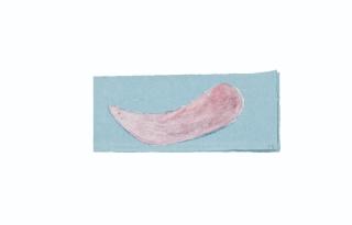 Louise Bourgeois - Tadpole