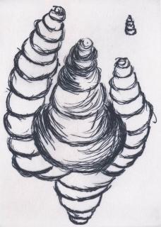 Louise Bourgeois - Untitled Or Maggots From Anatomy Series