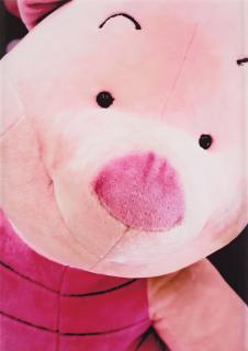 Louise Enhörning - Untitled, 2016