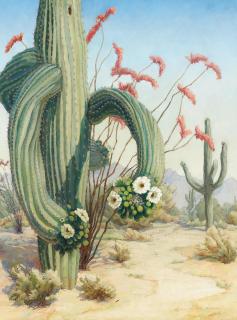 Louise Everett Nimmo - Desert Scene with Saguaro