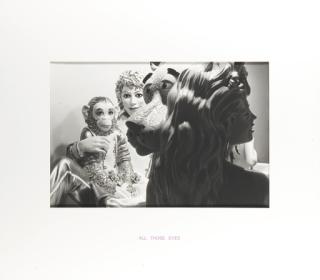 Louise Lawler - All Those Eyes