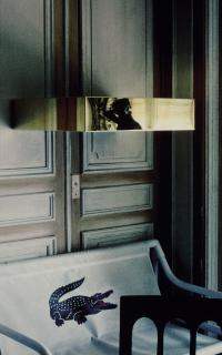 Louise Lawler - Alligator