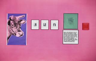 Louise Lawler - (Andy Warhol And Other Artists) Tulip