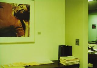 Louise Lawler - Arranged By Donald Marron, Susan Brundage, Cheryl Bishop At Paine Webber, Inc.