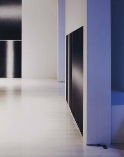 Louise Lawler - Black and white and blue, 2007-2010