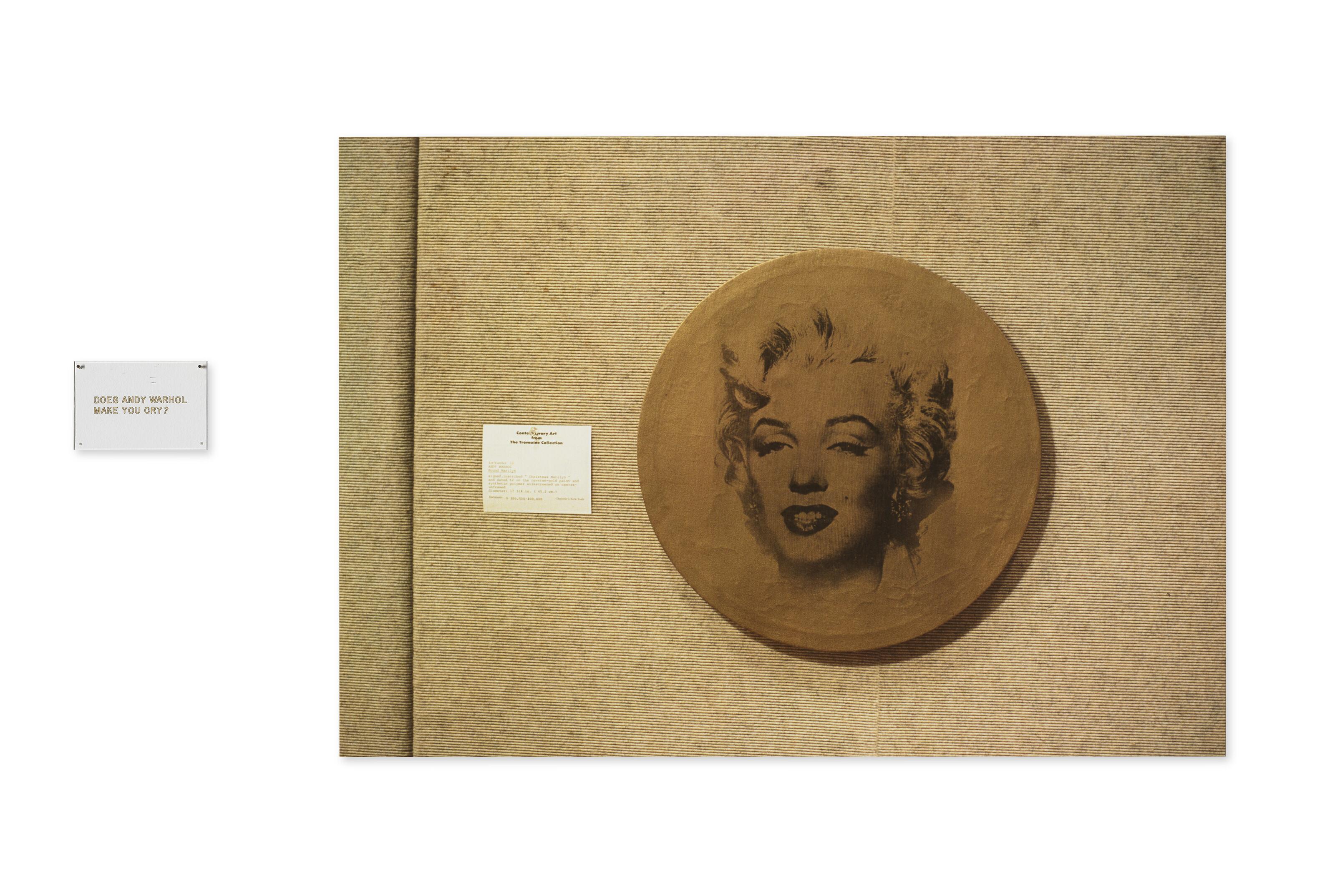 Louise Lawler - Does Andy Warhol Make You Cry?