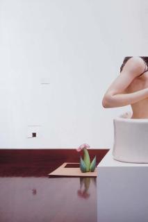 Louise Lawler - Elbow And Flower