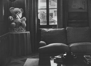 Louise Lawler - Geneva Bear