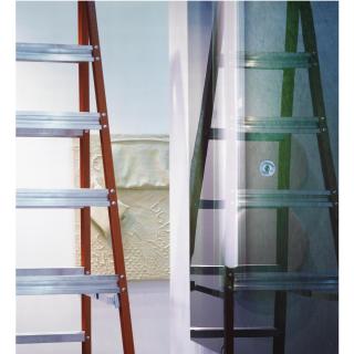 Louise Lawler - Looks Like... A Painting