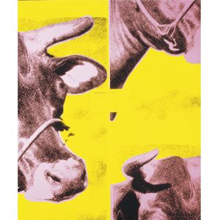 Louise Lawler - Pink And Yellow And Black I (Red Disaster) From On A Wall, In A Cow, In A Book, In The Mail