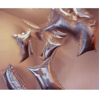 Louise Lawler - Pleasure/More