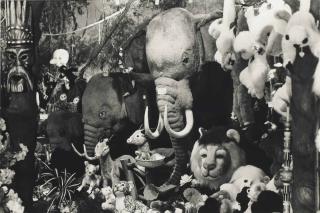 Lousie Lawler - Le Vésinet (Twenty Minutes Outside Paris)