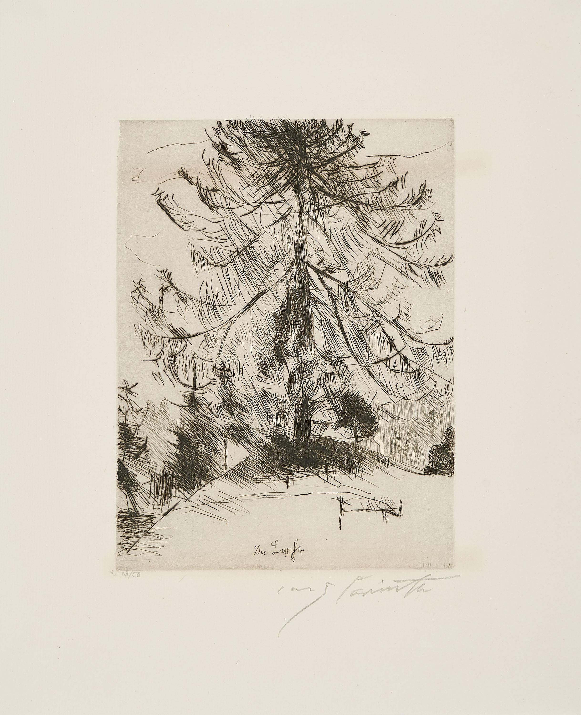 Lovis Corinth - Die Lärche (Aus: Am Walchensee).