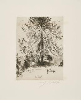 Lovis Corinth - Die Lärche (Aus: Am Walchensee).
