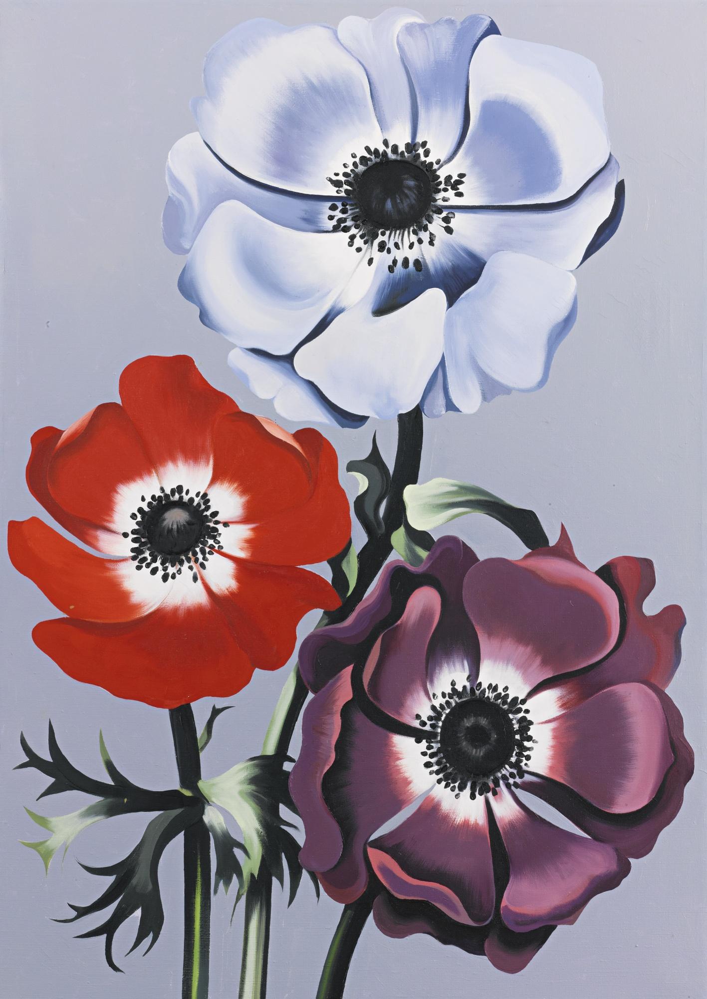 Lowell Nesbitt - Anemone Xxii