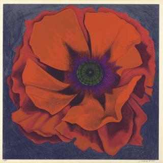 Lowell Nesbitt - [Four Floral]