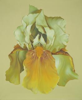 Lowell Nesbitt - Green Iris