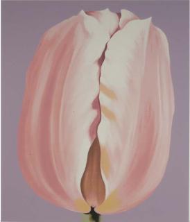 Lowell Nesbitt - Iris; and Tulip