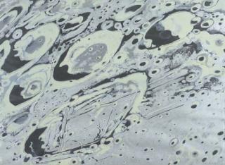 Lowell Nesbitt - Moon 69