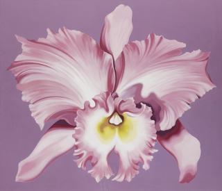Lowell Nesbitt - Orchid