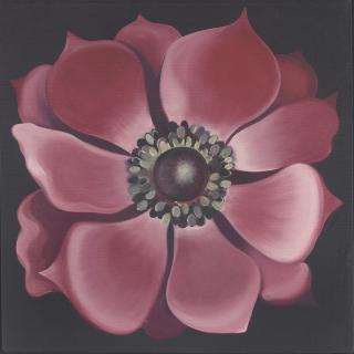 Lowell Nesbitt - Red anemone
