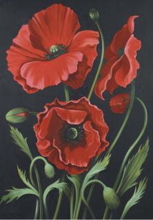 Lowell Nesbitt - Red Poppies