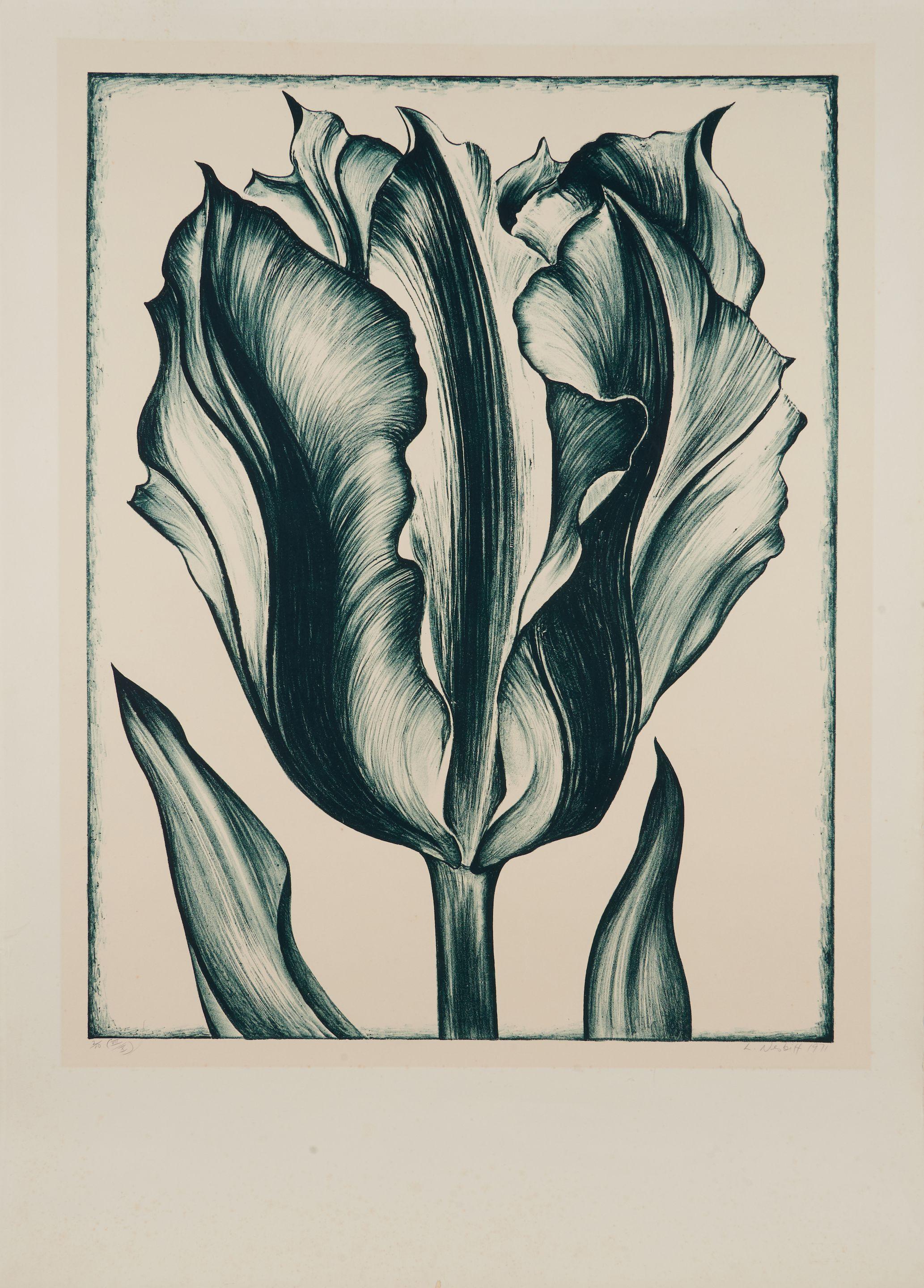 Lowell Nesbitt - Tulip