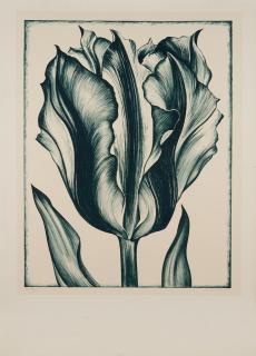 Lowell Nesbitt - Tulip