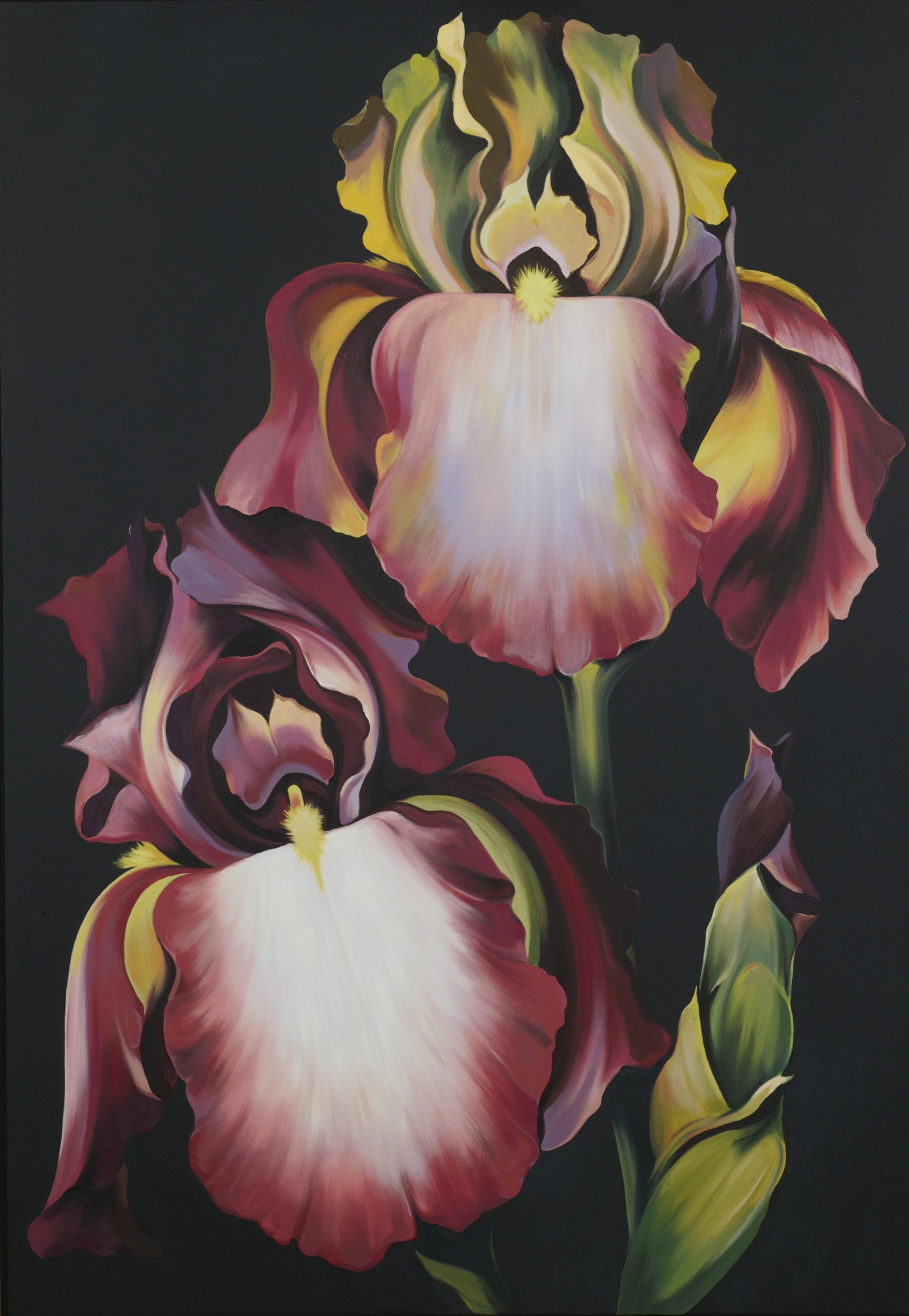 Lowell Nesbitt - Two Iris On Black
