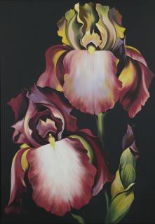 Lowell Nesbitt - Two Iris On Black