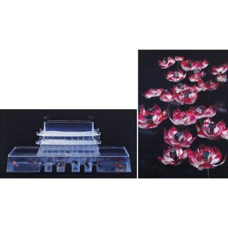 Lu Hao - Flower, Bird, Insect, Fish - Fishbowl, And Lotus (2 Works)