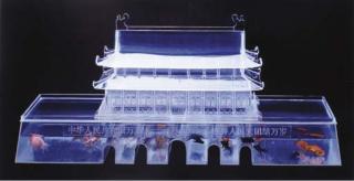 Lu Hao - Poissons Tiananmen