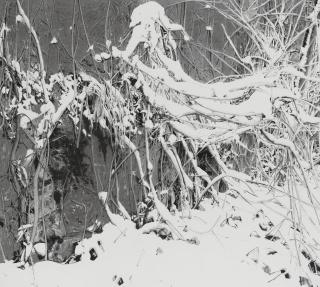 Lu Hui - Auspicious Snow 21-05