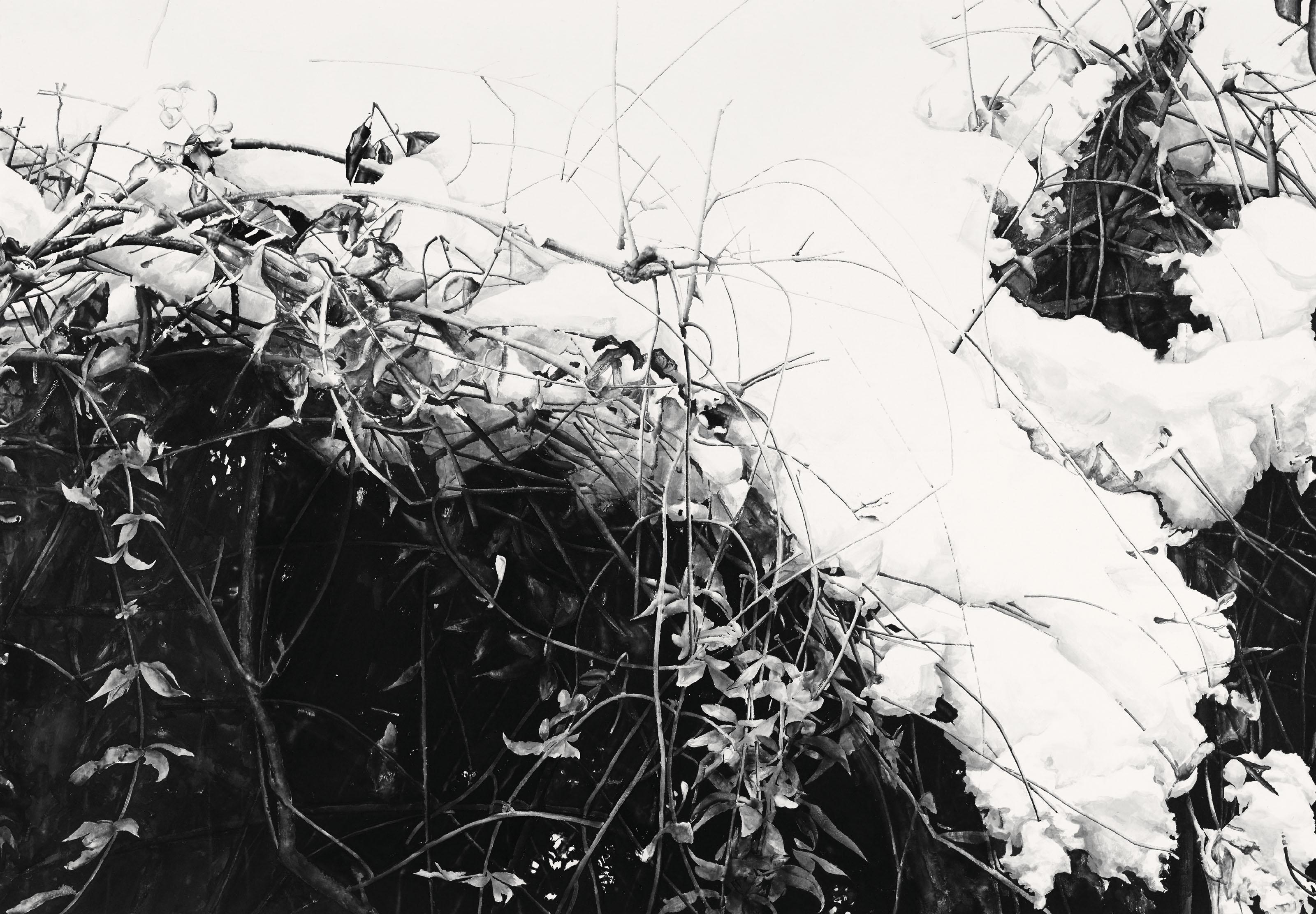 Lu Hui - Deep Snow 19-2