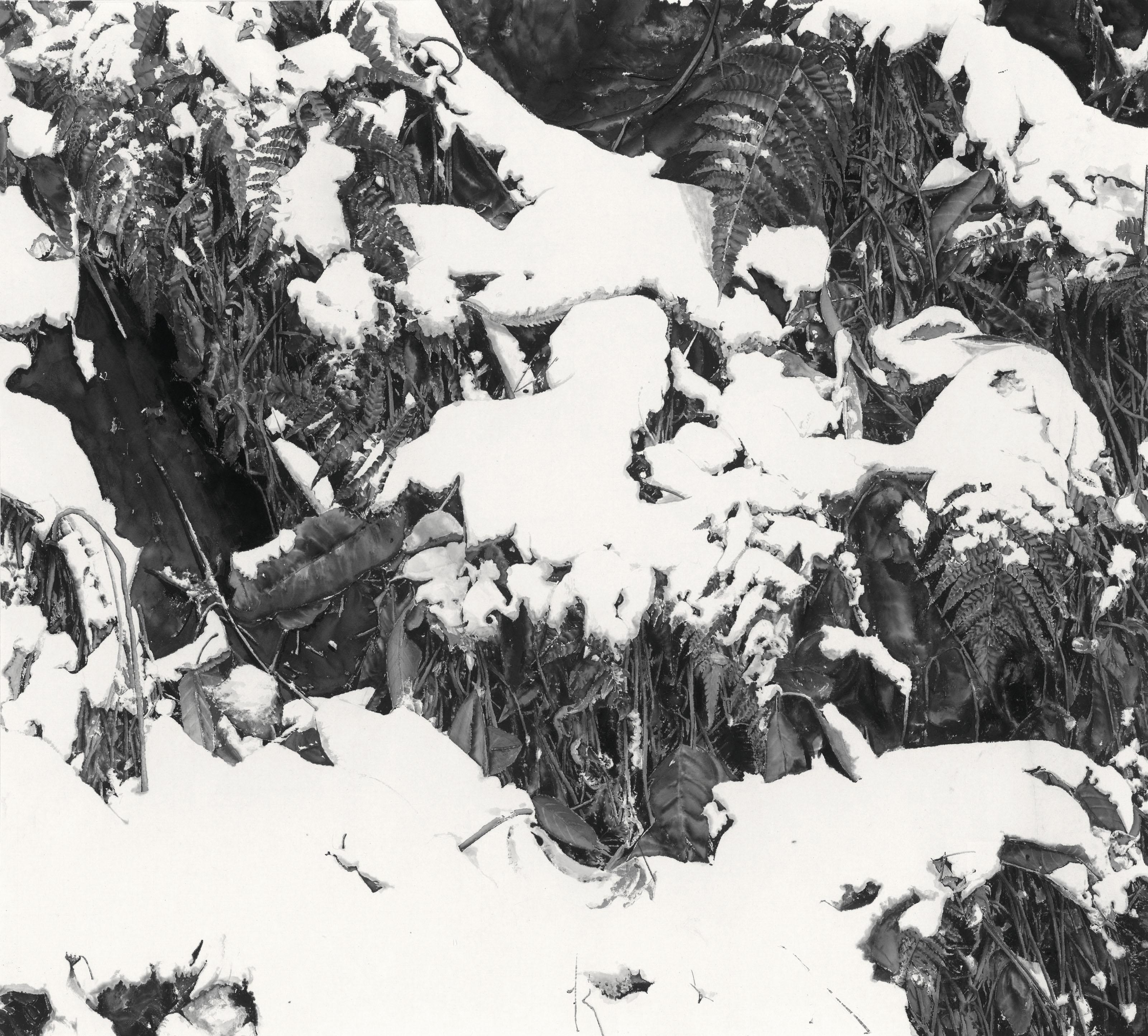 Lu Hui - Deep Snow 21-5