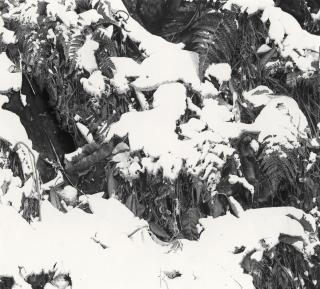 Lu Hui - Deep Snow 21-5