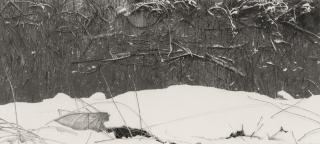 Lu Hui - Spring Snow on Reed Field