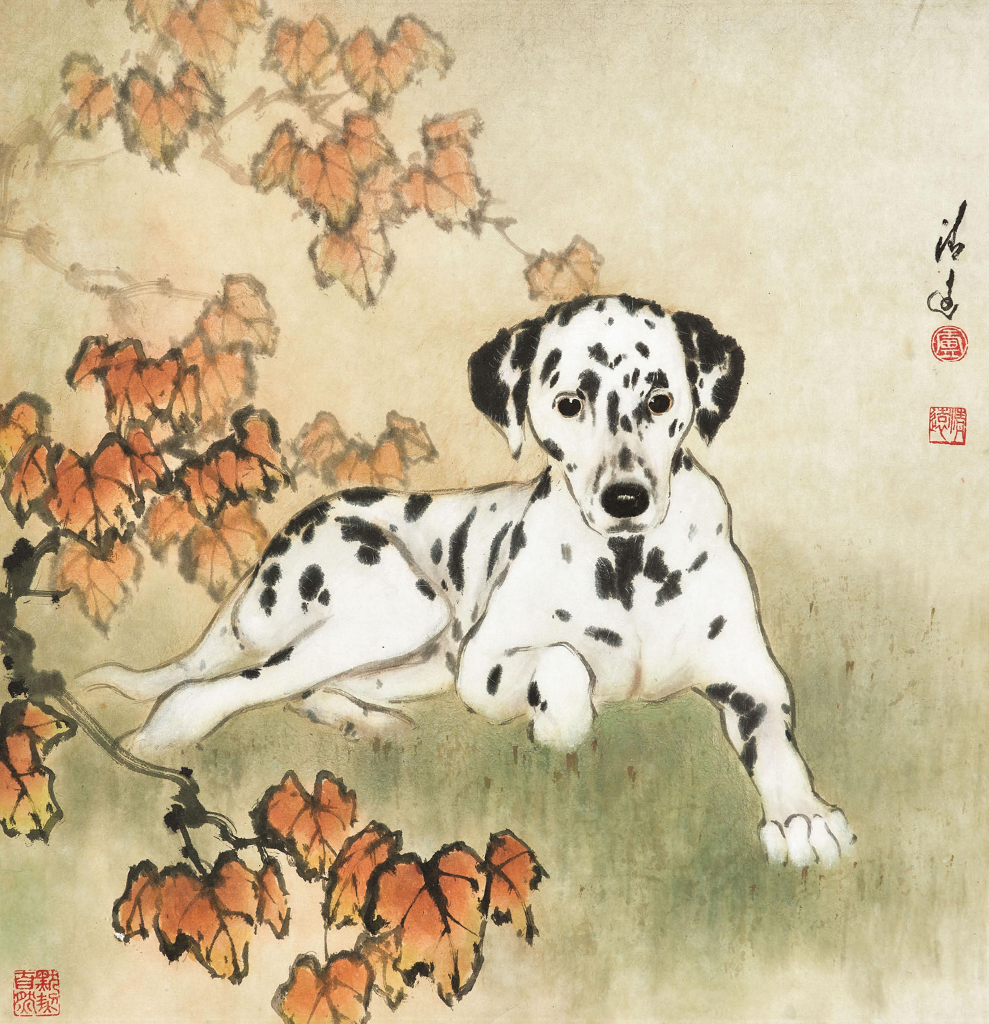 Lu Qingyuan - Dalmatian