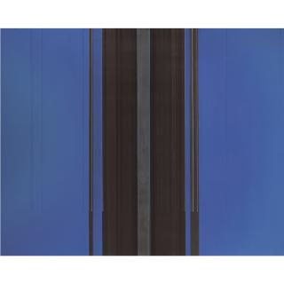 Luc Peire - Alexandre