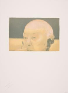 Luc Tuymans - Giscard.