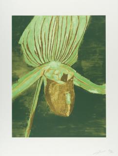 Luc Tuymans - Orchid