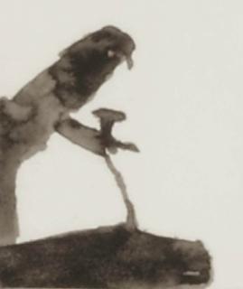 Luc Tuymans - Recherches