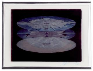 Luc Tuymans - Transitions A-B-C-D