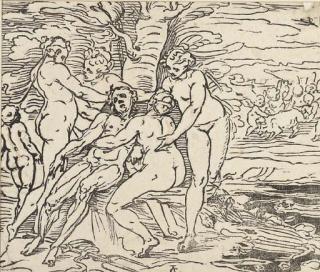 Luca Cambiaso - Venus mourning the Death of Adonis, circa 1600