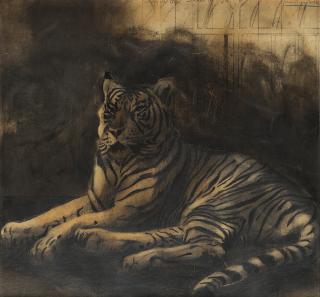 Luca Pignatelli - Studio di tigre