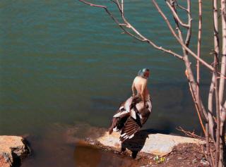 Lucas Samaras - Conflict 23 #35493.03