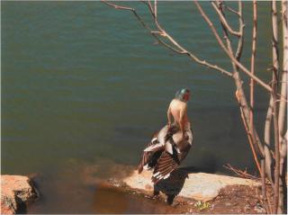 Lucas Samaras - Conflict 23