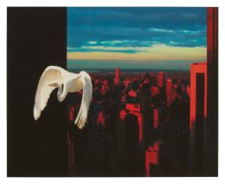 Lucas Samaras - Fact Id 34