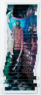 Lucas Samaras - Panorama 2/20/83